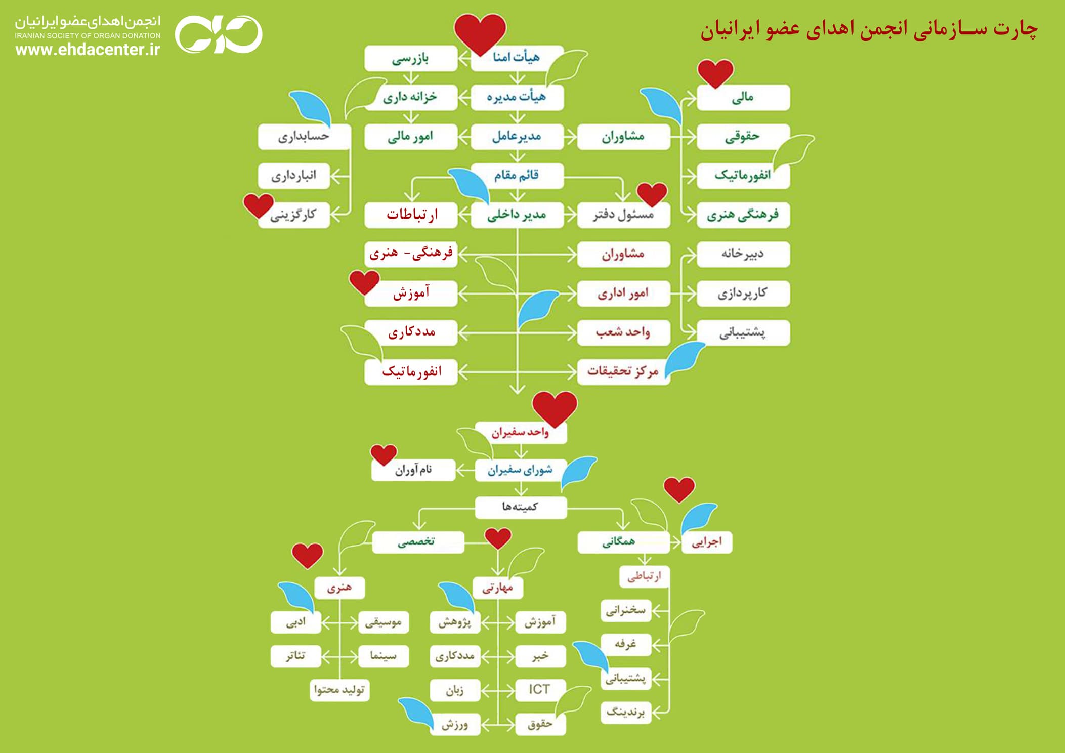 organizational chart image